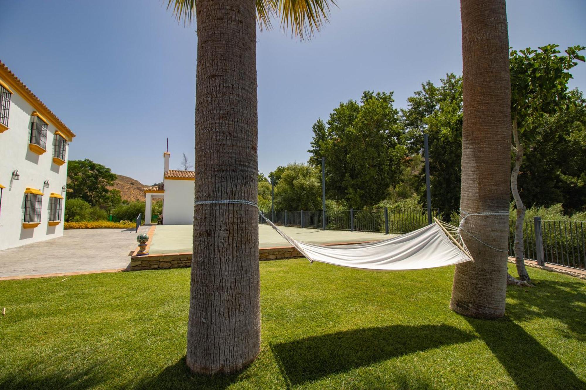 Villa Cortijo San Antonio De Trejo Setenil De Las Bodegas Exterior foto