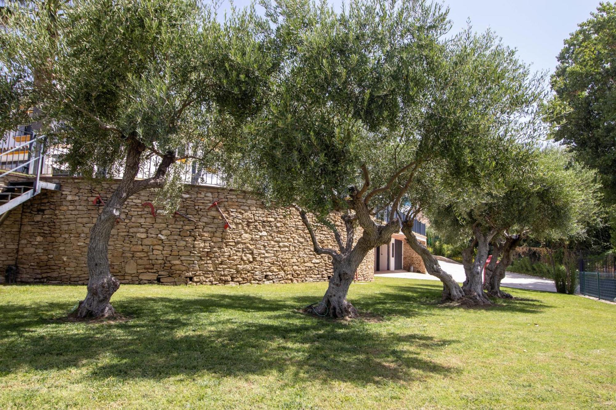 Villa Cortijo San Antonio De Trejo Setenil De Las Bodegas Exterior foto